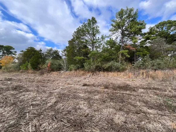 120 Shore Front DR, Bastrop, TX 78602