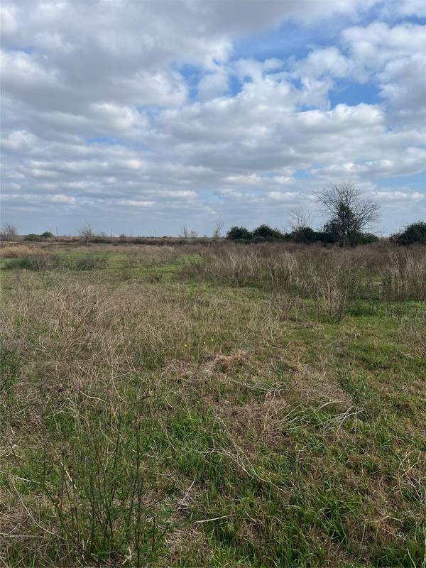 TBD lot 1 Beal RD, Eagle Lake, TX 77434