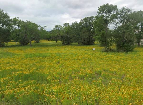 TBD Skyline DR, Kingsland, TX 78639