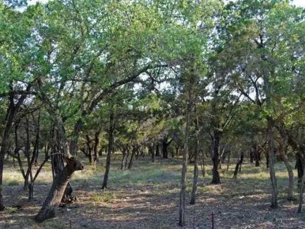 6805 Sunset Ridge WAY, Jonestown, TX 78645