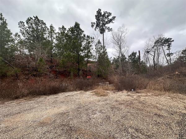 LOT 178 / R32255 Keo Kea CT, Bastrop, TX 78602