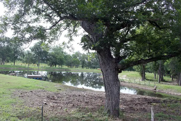 1000 Old Lytton Springs RD, Lockhart, TX 78644
