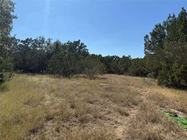 917 Roy Creek TRL, Dripping Springs, TX 78620