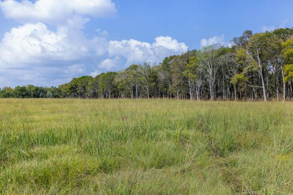 9999 FM 834, Hardin, TX 77564
