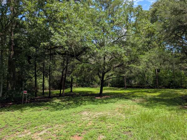 9278 N Highway 77 HWY, Lexington, TX 78947