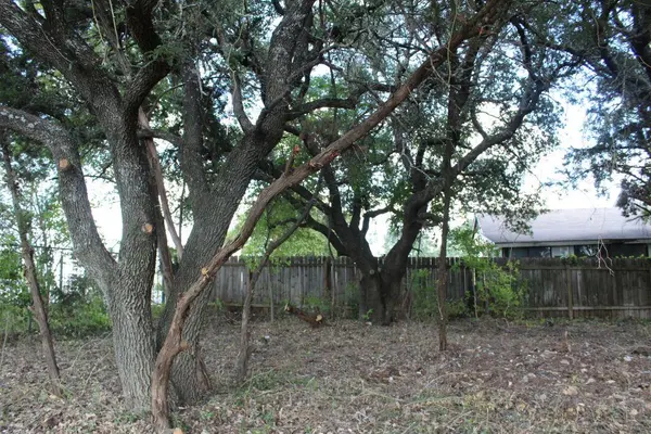 11502 Bee ST, Jonestown, TX 78645