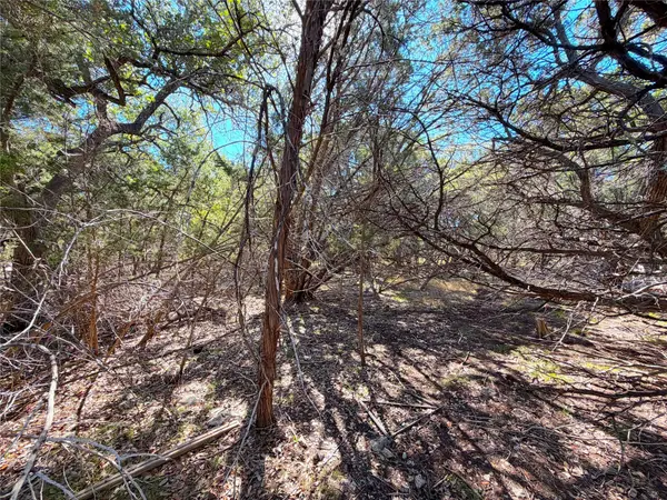 426 Clay RDG, Canyon Lake, TX 78133