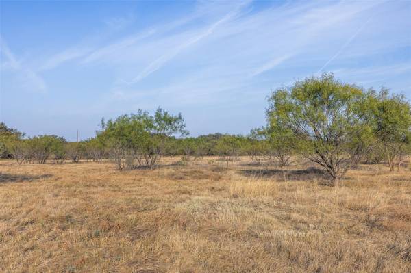 Tract 3 TBD CR 424, Rochelle, TX 76872