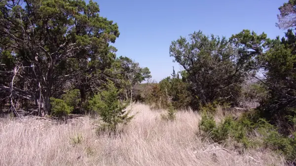 407 E Headwaters Ranch RD, Kendalia, TX 78027