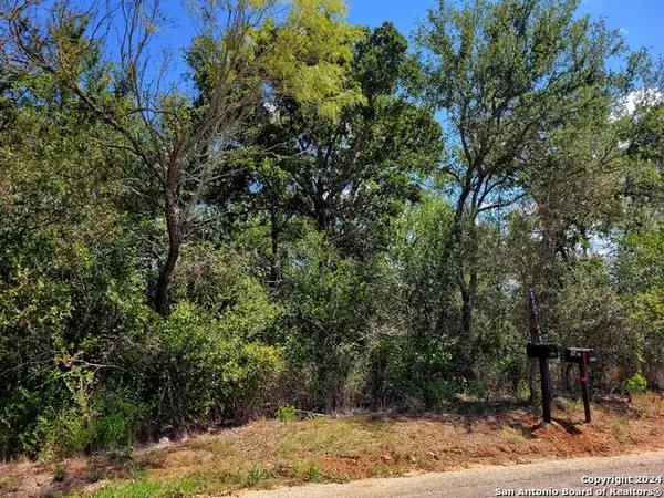 tbd Dale LN, Dale, TX 78616