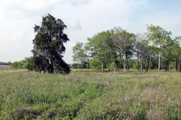 3223 Old Kelley RD, Lockhart, TX 78644