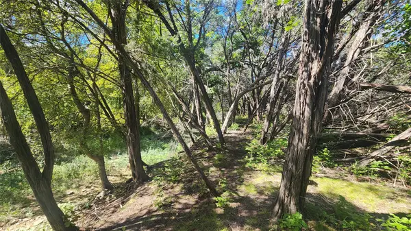 25615 Ronald W Reagan BLVD, Georgetown, TX 78633