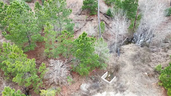 LOT 179 / R32264 Keo Kea CT, Bastrop, TX 78602