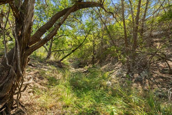 Tract 3 of 5818 Ranch Road 165, Blanco, TX 78606