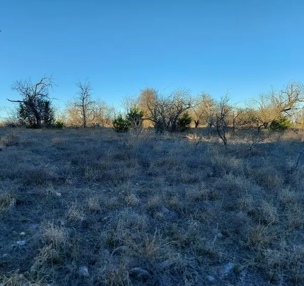 TBD Lot# 33 Comanche Hills DR, Comanche, TX 76442