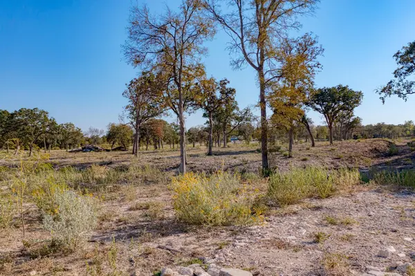 9202 Lockwood Springs RD, Manor, TX 78653