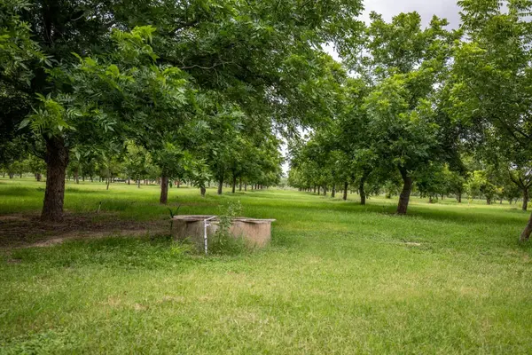 2432 County Road 402, Falfurrias, TX 78355