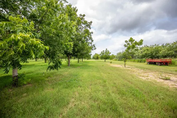 2432 County Road 402, Falfurrias, TX 78355
