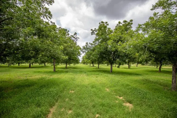 2432 County Road 402, Falfurrias, TX 78355