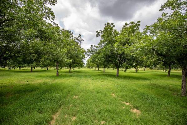2432 County Road 402, Falfurrias, TX 78355
