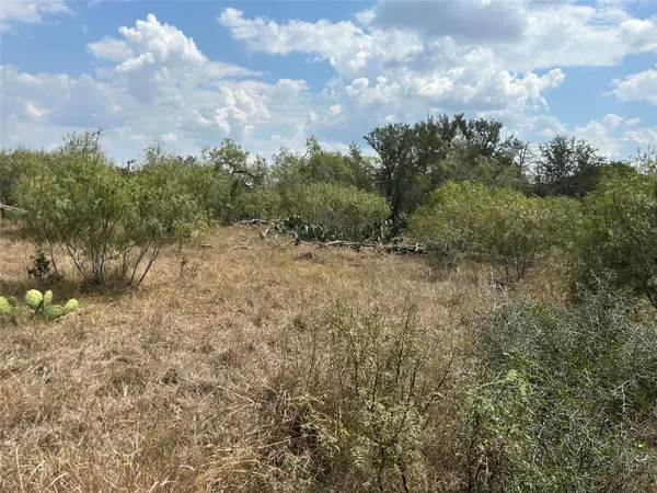 303 Walter Hoffman RD, Cedar Creek, TX 78612