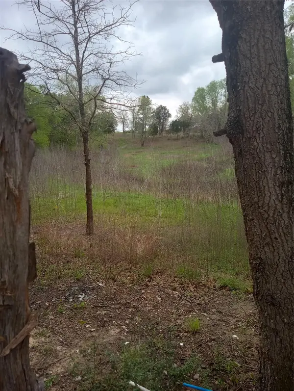 177 Moon Mist DR, Bastrop, TX 78602