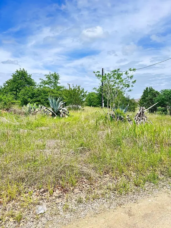 136A Wild Bird LOOP, Smithville, TX 78957