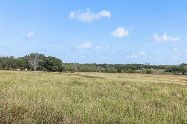 Tract 1 County Road 291, Moulton, TX 77984