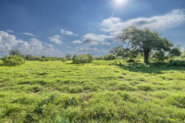 Lot 1-C County Road 491, Gonzales, TX 78629
