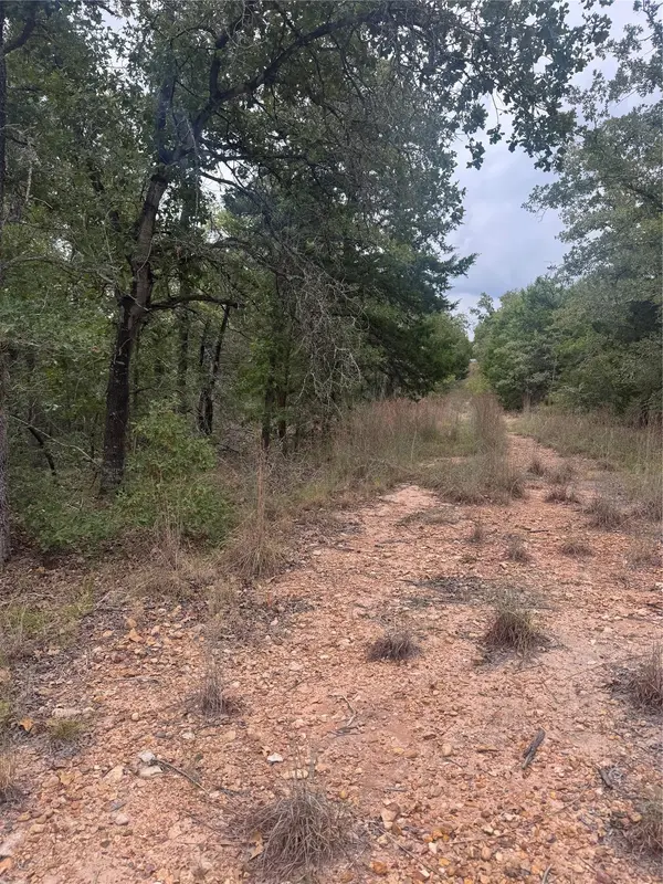 Lot 6 Spruce ST, Paige, TX 78659