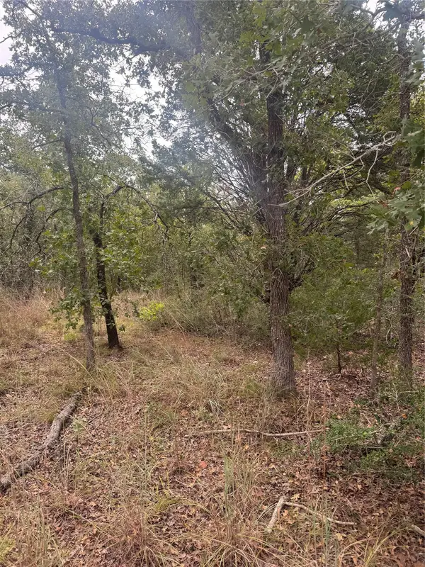 Lot 6 Spruce ST, Paige, TX 78659