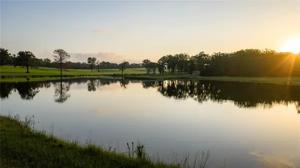 1577 County Road 431, Tennessee Colony, TX 75861