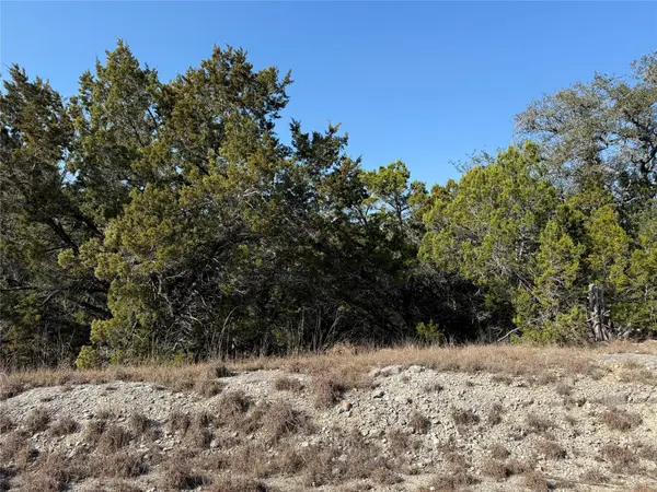 248 Kellog, Fischer, TX 78623