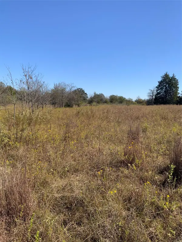 000 County Road 304, Lexington, TX 78947