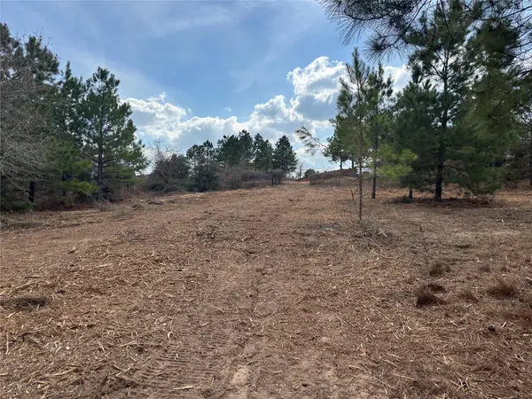 187 K C DR, Bastrop, TX 78602
