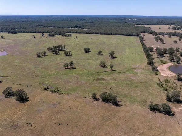1078 Old Pin Oak RD #Tracts 1 & 2, Paige, TX 78659