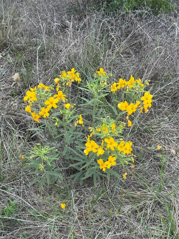 Lot 52 Clearwater Canyon RD, Bandera, TX 78003