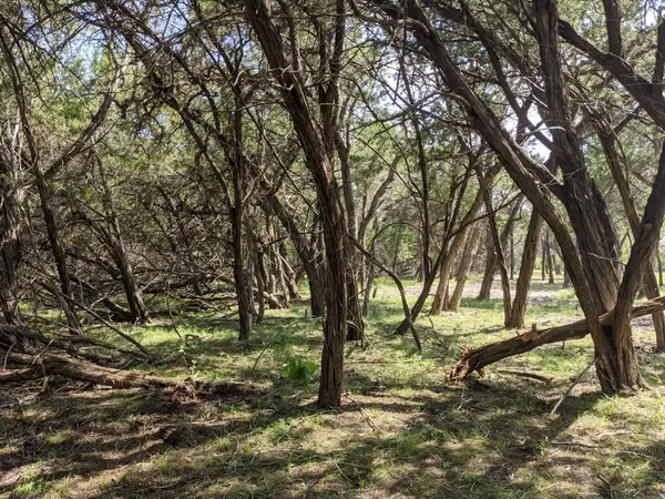 Lot 52 Clearwater Canyon RD, Bandera, TX 78003