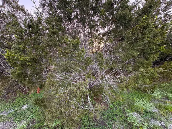 1001 Oblate DR, Canyon Lake, TX 78133