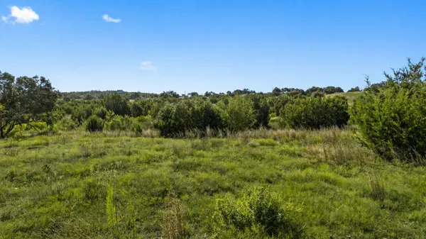 386 Appaloosa RUN, Johnson City, TX 78663