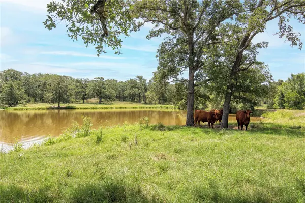 6750 Three Mile RD, Flatonia, TX 78941
