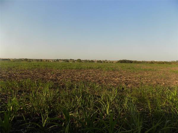 0 Krause RD, Holland, TX 76534