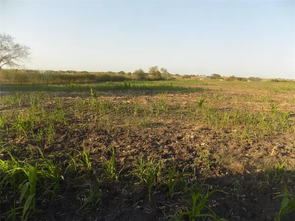 0 Krause RD, Holland, TX 76534