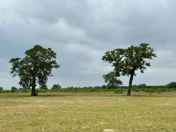 3 Big Sky Ranch RD, Smithville, TX 78957