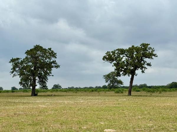 3 Big Sky Ranch RD, Smithville, TX 78957