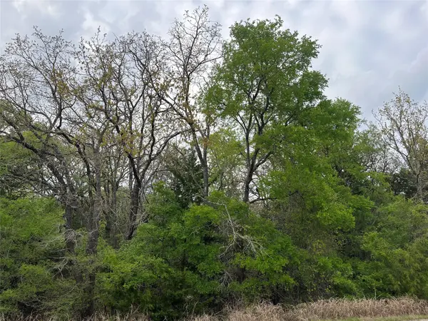 162 & 164 W Kaanapali LN, Bastrop, TX 78602