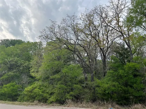 162 & 164 W Kaanapali LN, Bastrop, TX 78602