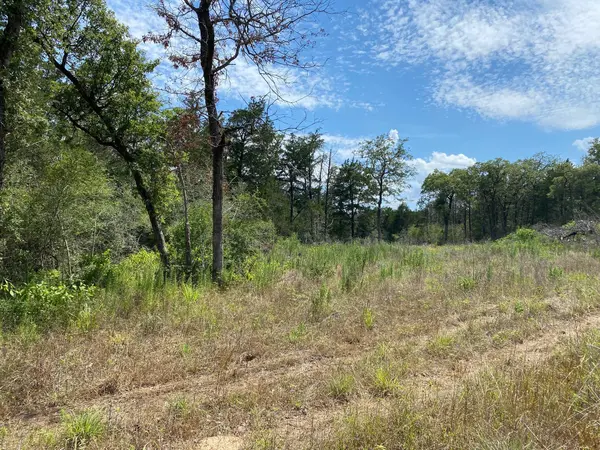 TBD High Crossing Rd - TRACT 8, Smithville, TX 78957
