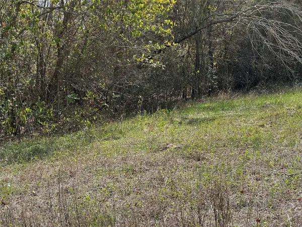 709 Locust ST, Bastrop, TX 78602