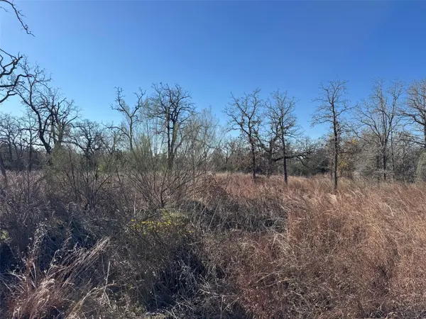 TBD Marjess DR, Cedar Creek, TX 78612